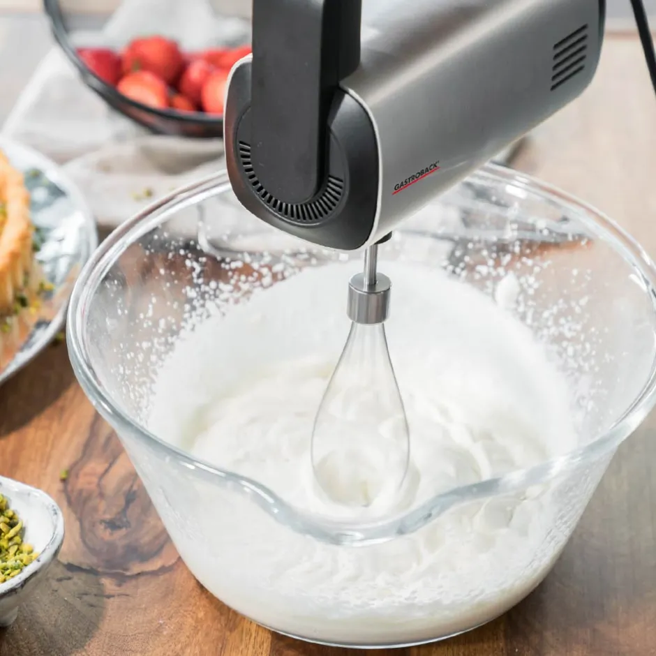 GASTROBACK Design Handmixer Pro Online