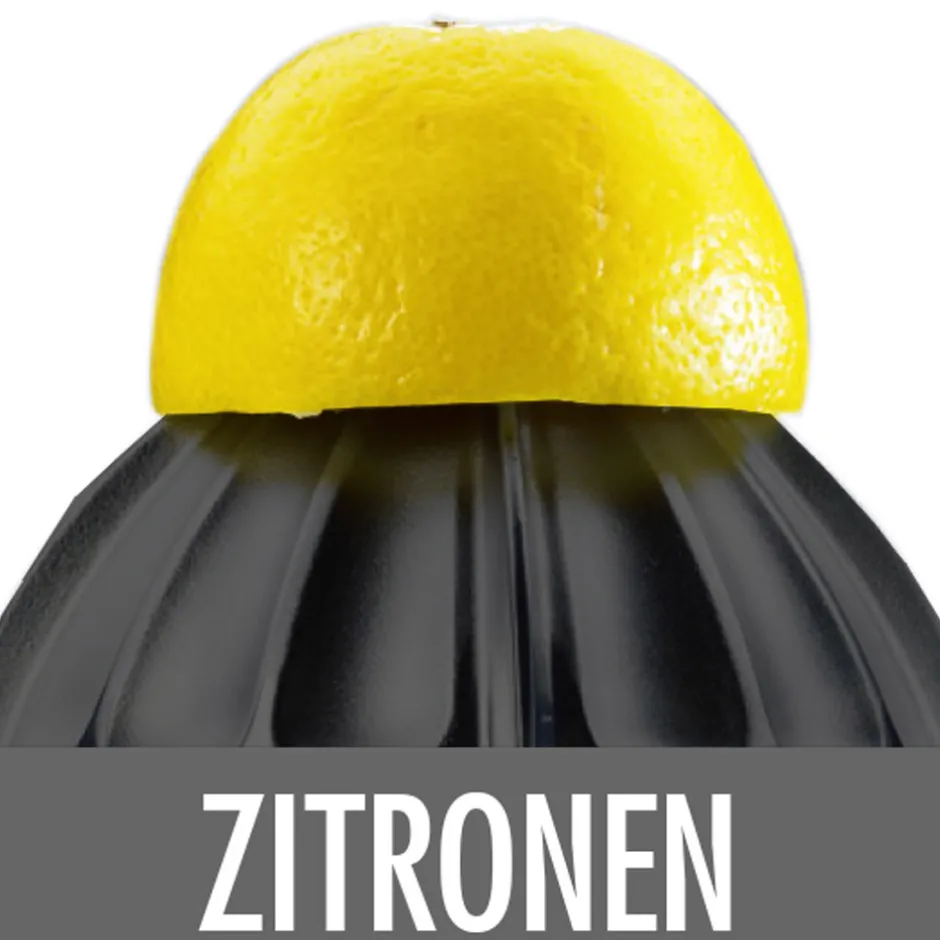 GASTROBACK Home Culture - Zitruspresse Outlet