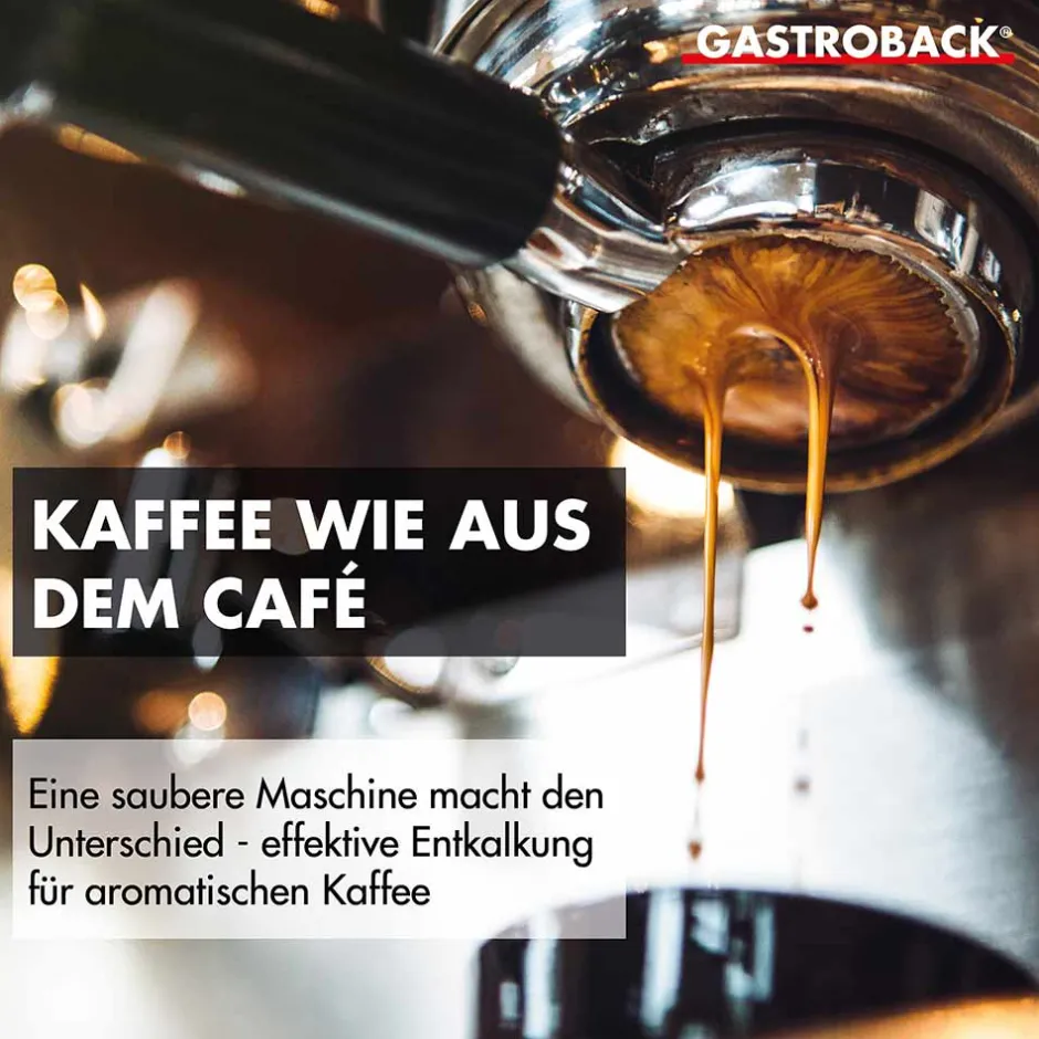 GASTROBACK Premium Entkalker 500 ml Online