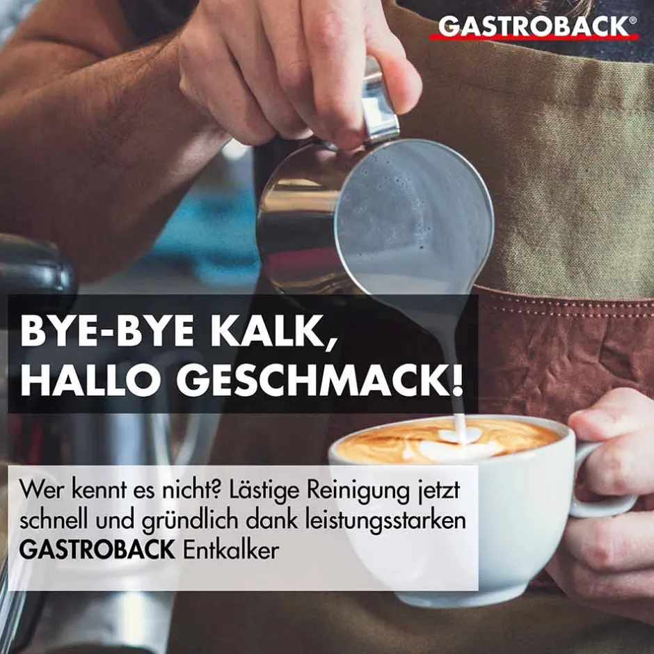 GASTROBACK Premium Entkalker 500 ml Online